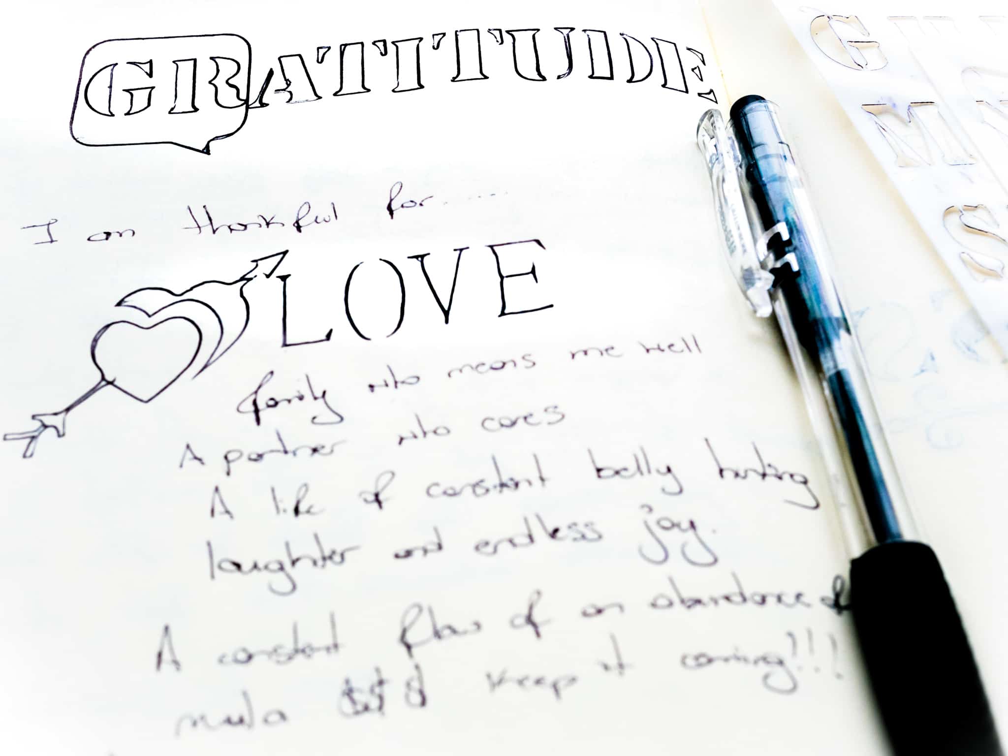 Navigating This Space -goals and gratitude journal