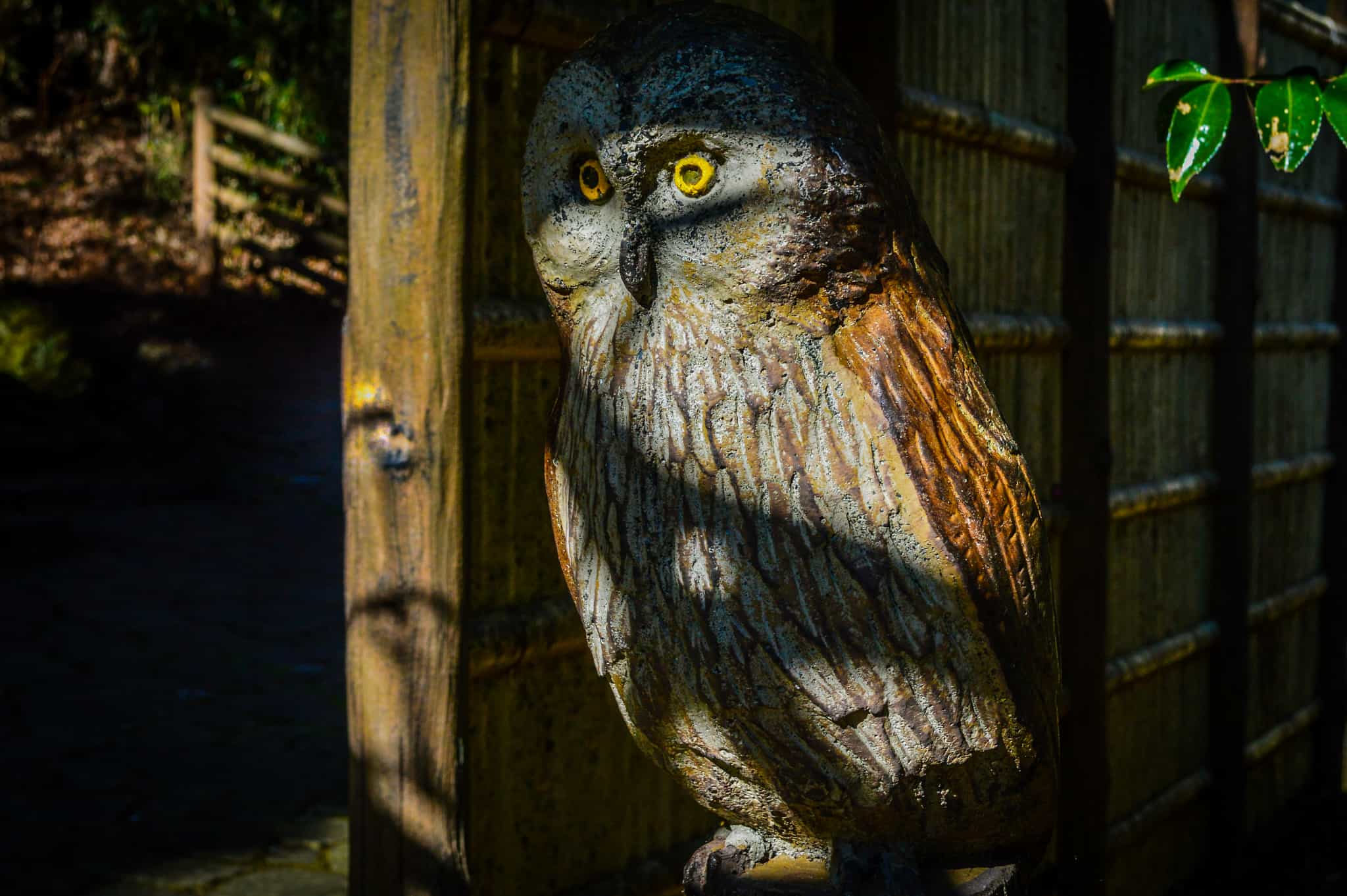 Navigating This Space -how to build character