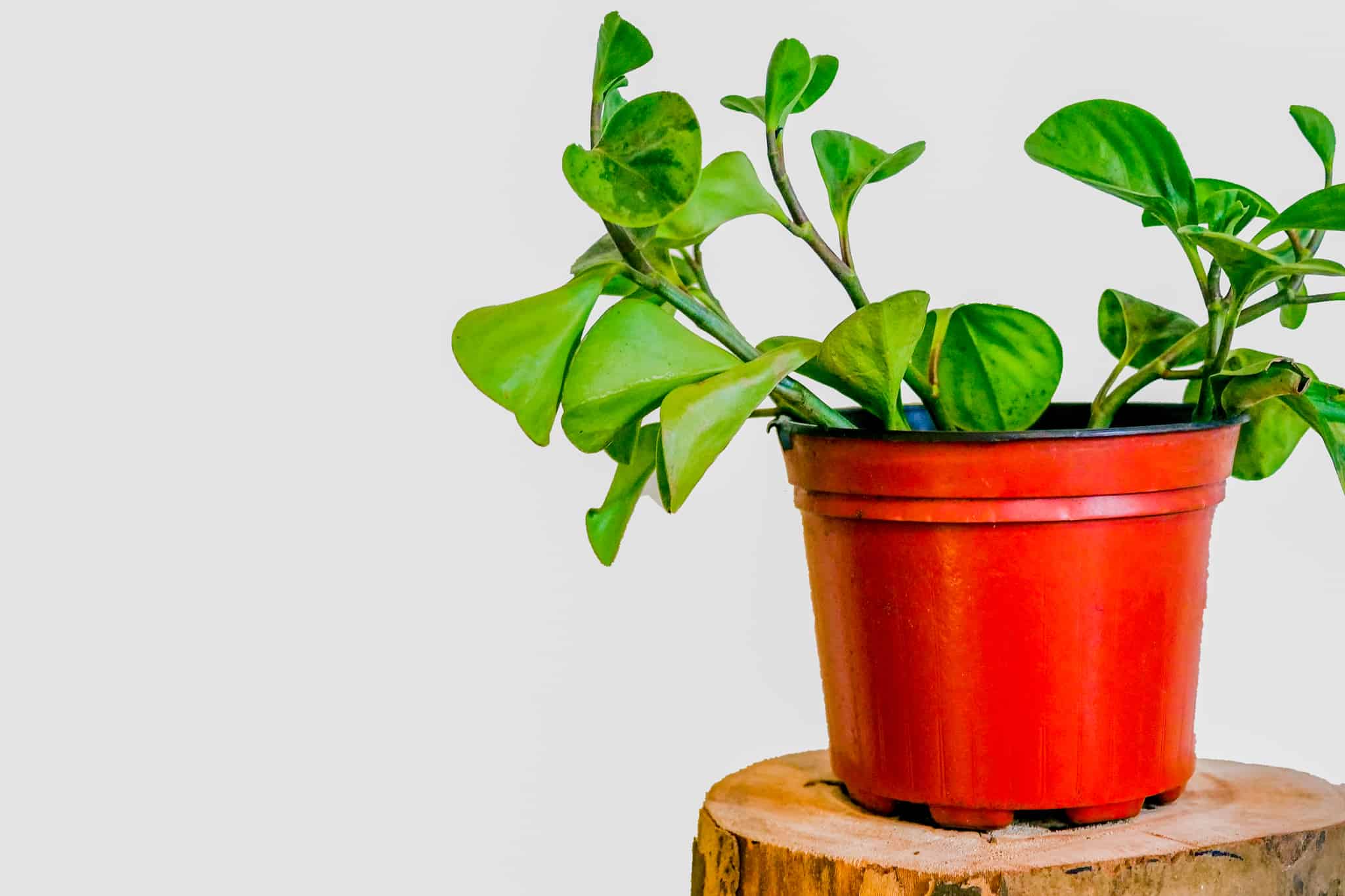 Navigating This Space -minimalist declutter