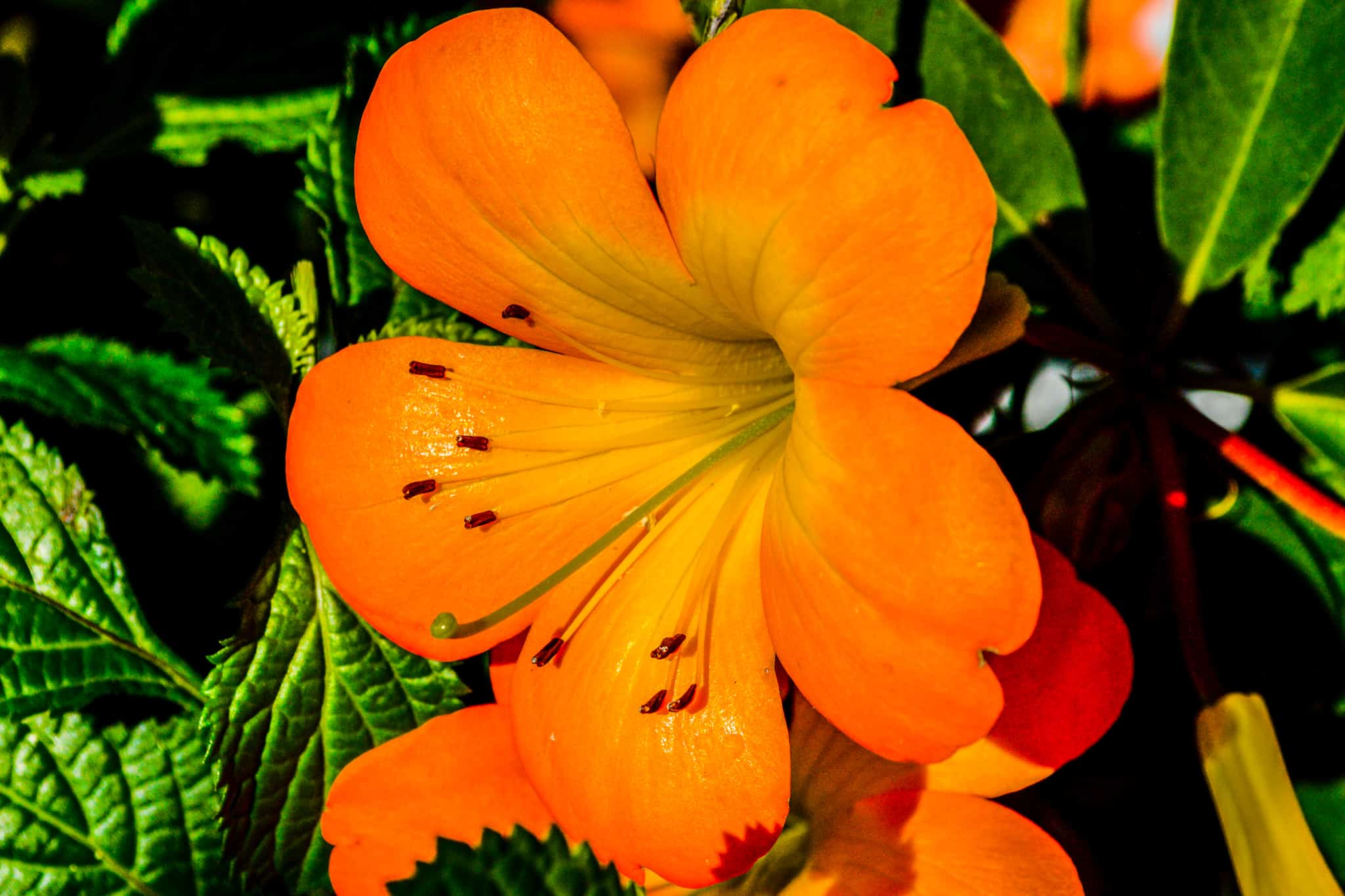 Navigating This Space – journal prompts