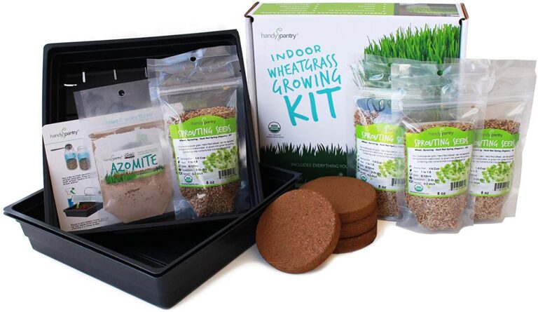 Wheatgrass Growing Starter Kit
