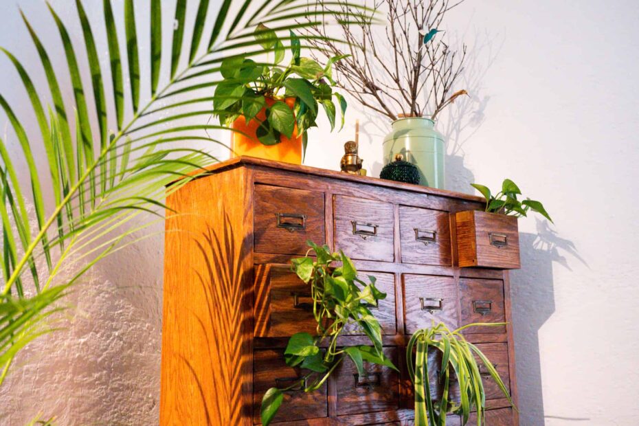 Brown Chester drawer filled with plants growing and ornaments sitting on top