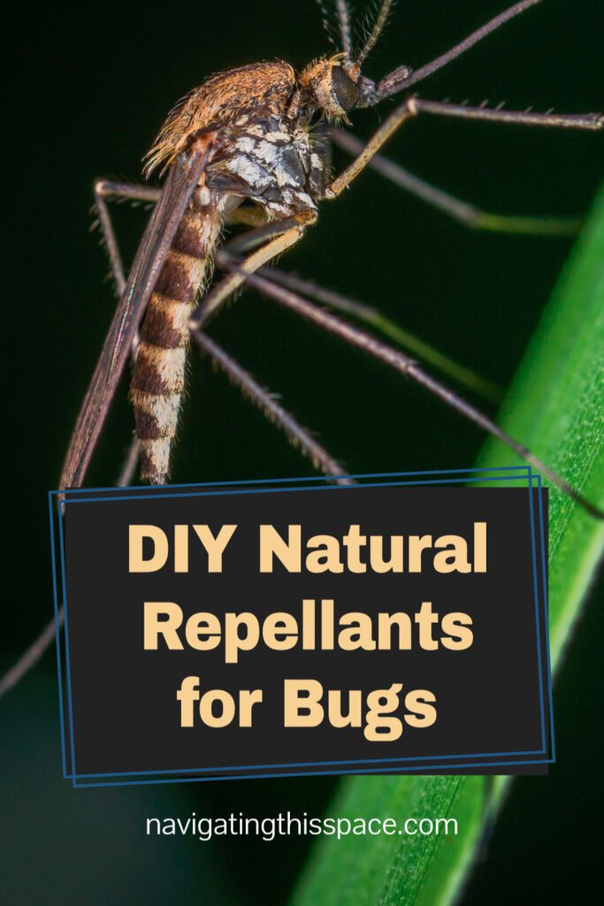 DIY Natural repellants for bugs
