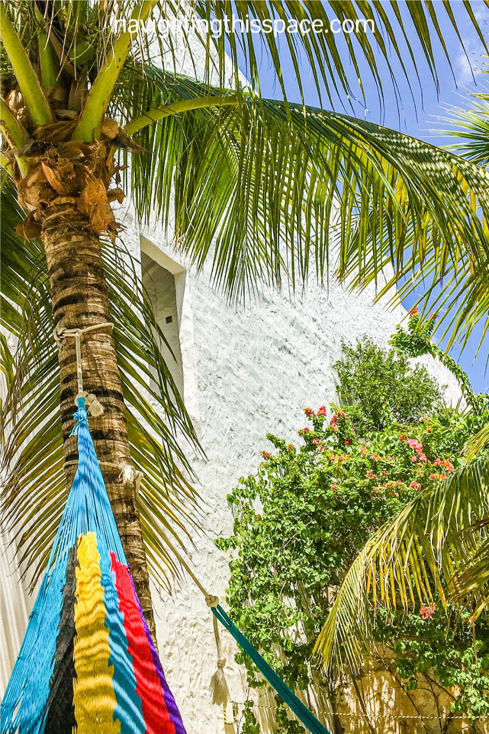 colorful hammock tied to a coconut tree