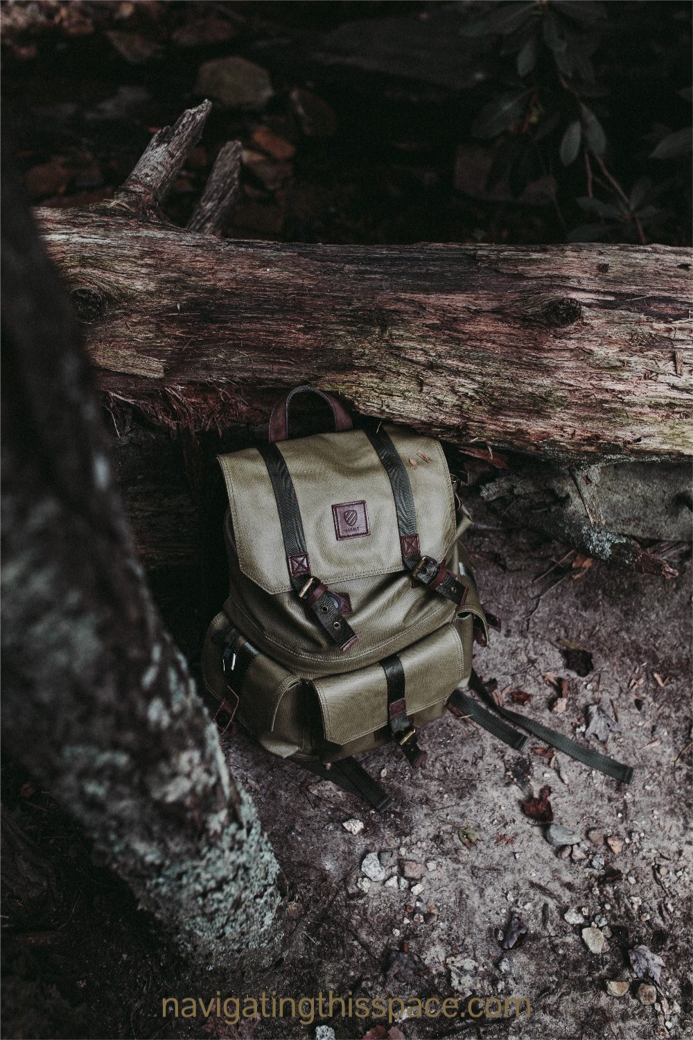 A backpack sitting by a fallen tree in the woods