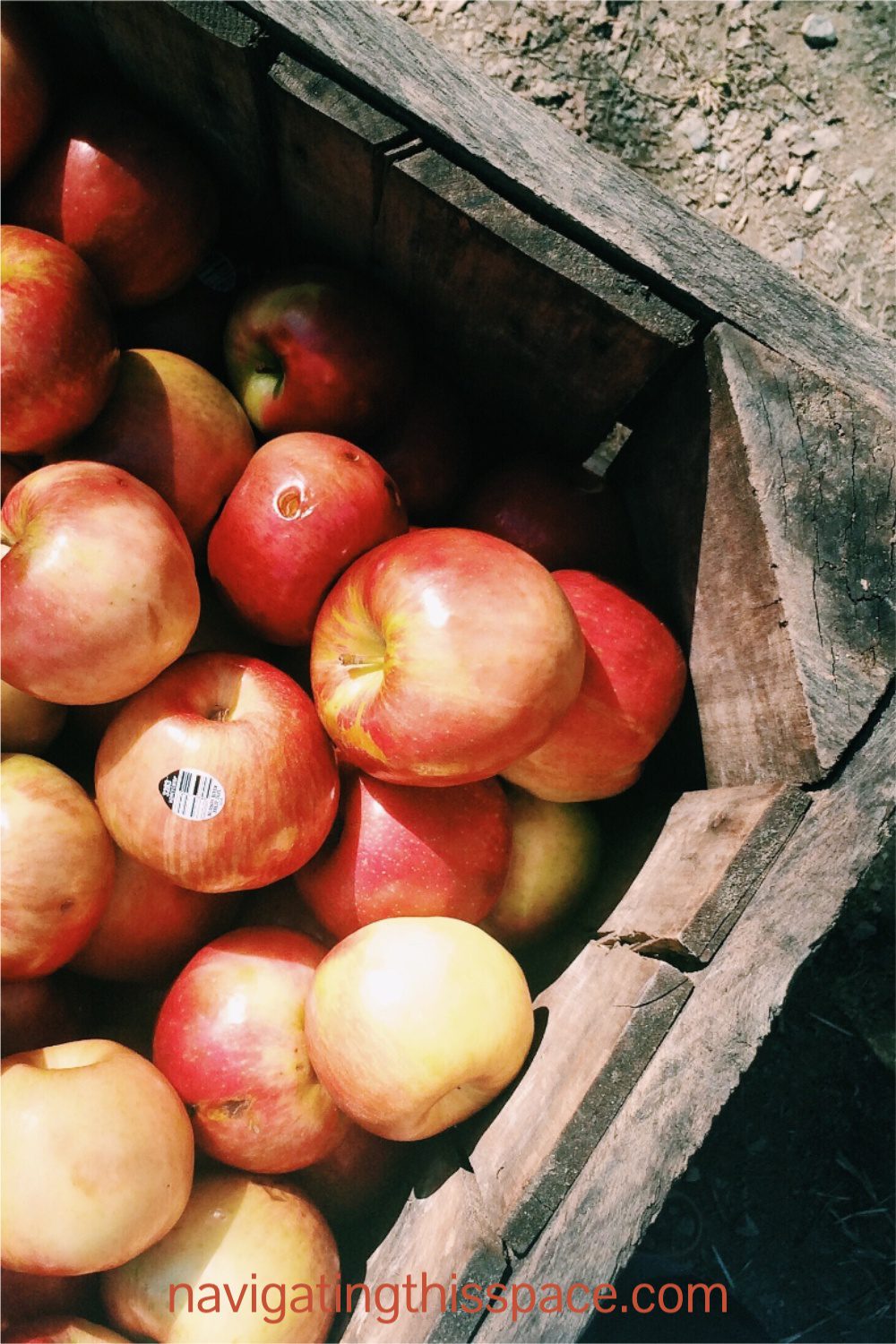 a harvest of apples in a crate