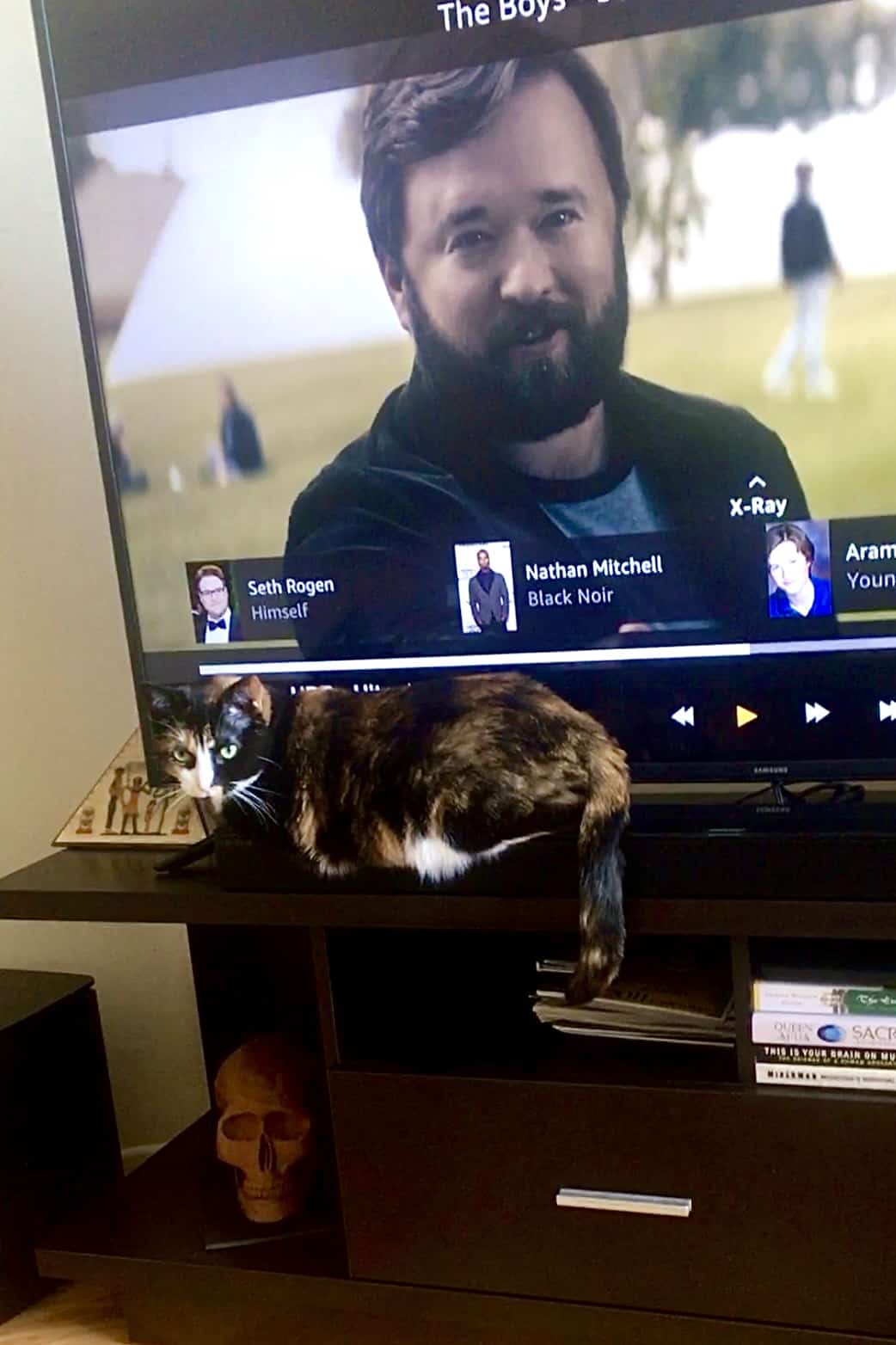 Amazon original tv series The Boys on a tv screen while a cat sits comfortable on the tv stand