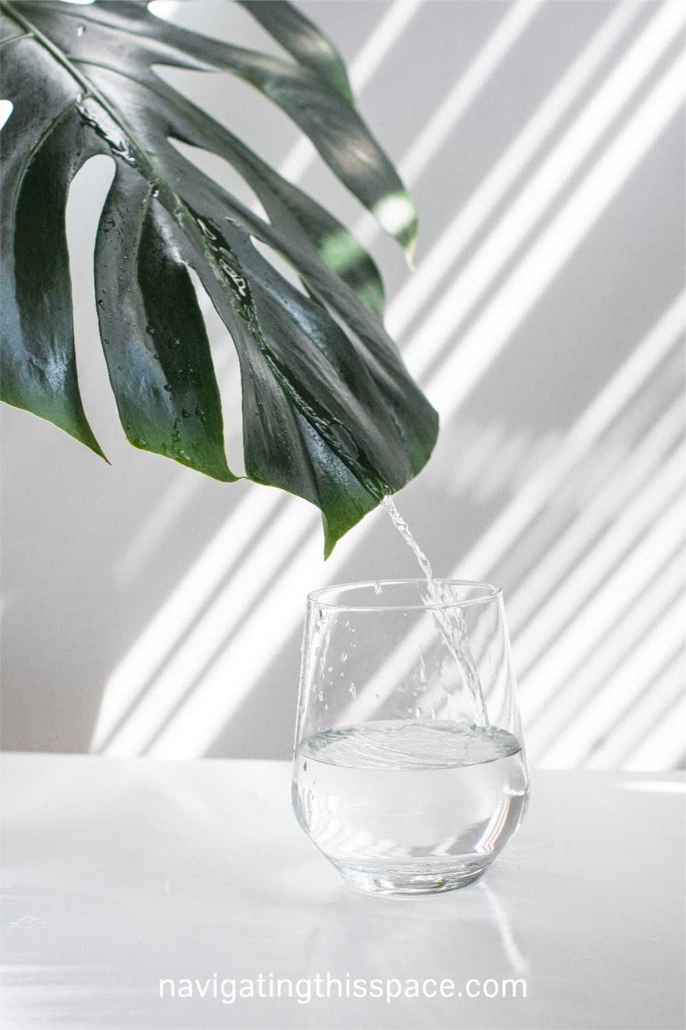 a leaf pouring water into a drinking glass