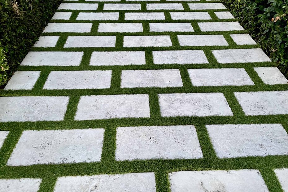 paved driveway with grass growing in the seams