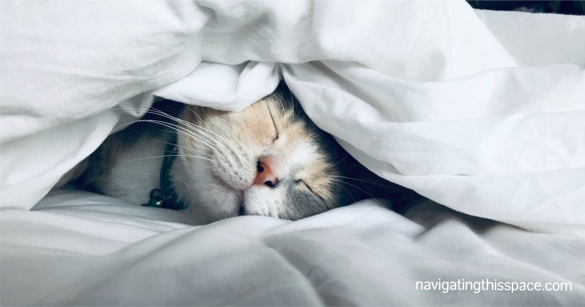 a cat sleeping under a white sheet