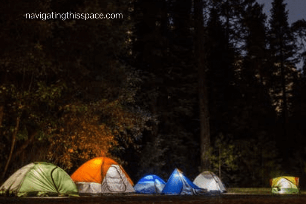 Tents pitched on a camping site in front of the forest