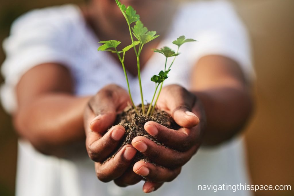 man holding a small growing plant