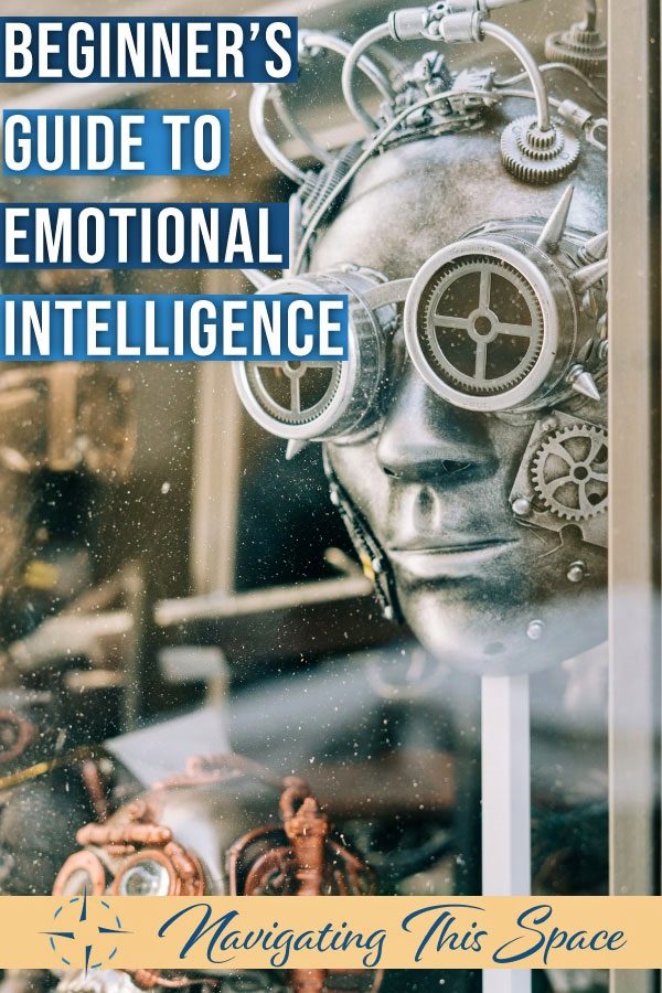 Beginners Guide To Emotional Intelligence